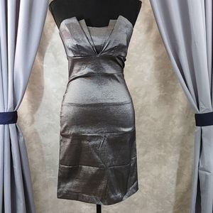 Silver Strapless Bodycon Mini Dress